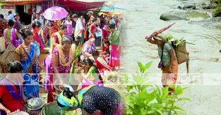 সমন্বিত কৃষিতে বদলাচ্ছে পাহাড়; স্বপ্ন দেখছেন দুর্গম এলাকার মানুষ
